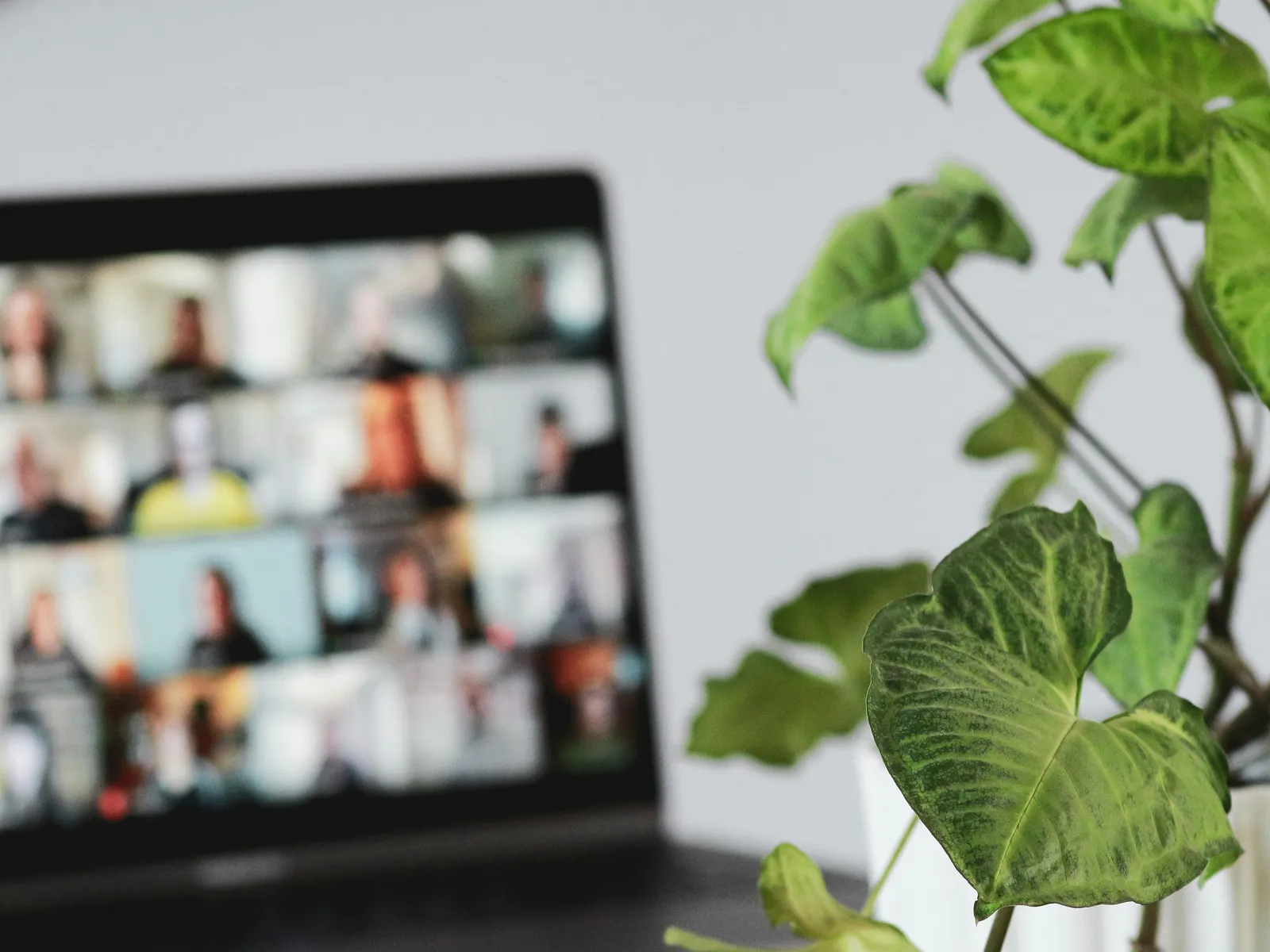 Book a 60 minute demo compagnons