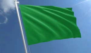 Flying-the-Flag-for-Sustainability-DPP
